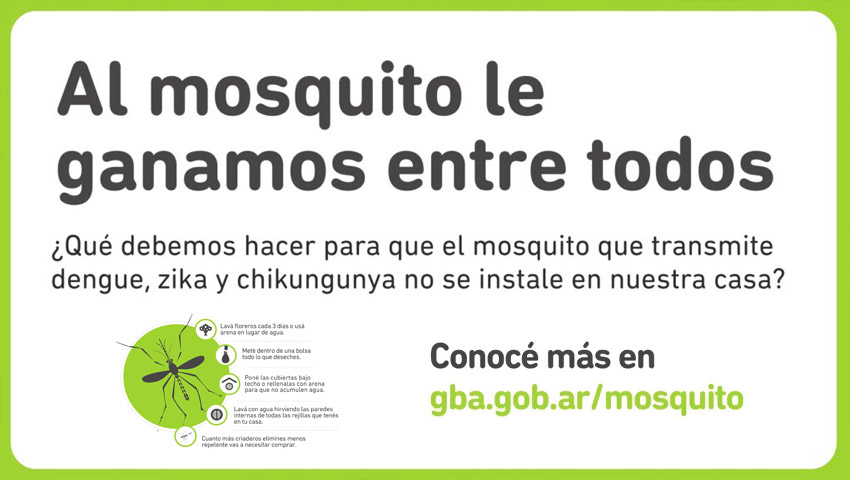 Mosquito